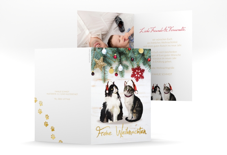 Weihnachtskarte Catmas A6 Klappkarte hoch gold mit lustigem Katzen-Motiv