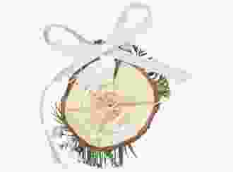 Geschenkanhänger Hochzeit Woodland Geschenkanhänger, rund weiss