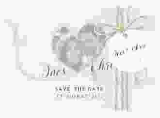 Save the Date Deckblatt Transparent "Dolce" DIN A6 Deckblatt transparent weiss