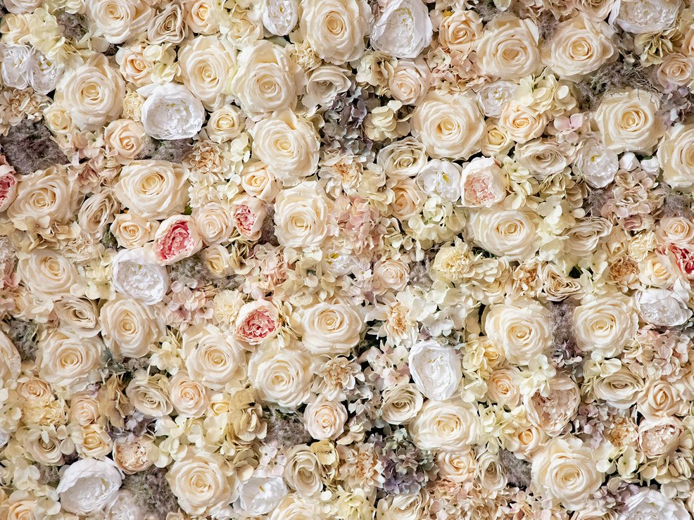 Blumen sind ein perfekter Hintergrund für Fotos auf der Hochzeit