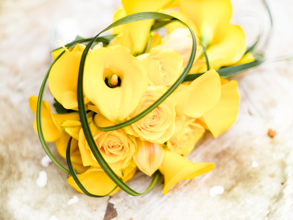Gelbe Blumen für die Hochzeit gibt es in Hülle und Fülle Gelbe Blumen für die Hochzeit gibt es in Hülle und Fülle