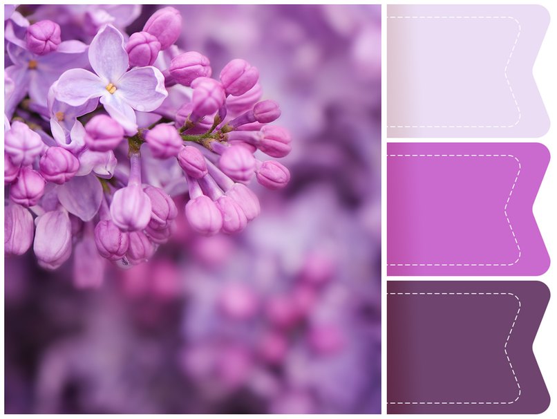 Lila Flieder inspiriert zu diesem wundervollen Farbkonzept