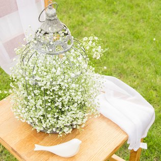 Vogelkäfig mit Schleierkraut als Hochzeitsdeko Vogelkäfig mit Schleierkraut als Hochzeitsdeko