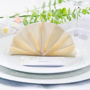 Der Tischknigge für die Hochzeit und eine Faltanleitung für den Serviettenfächer Serviettenfächer
