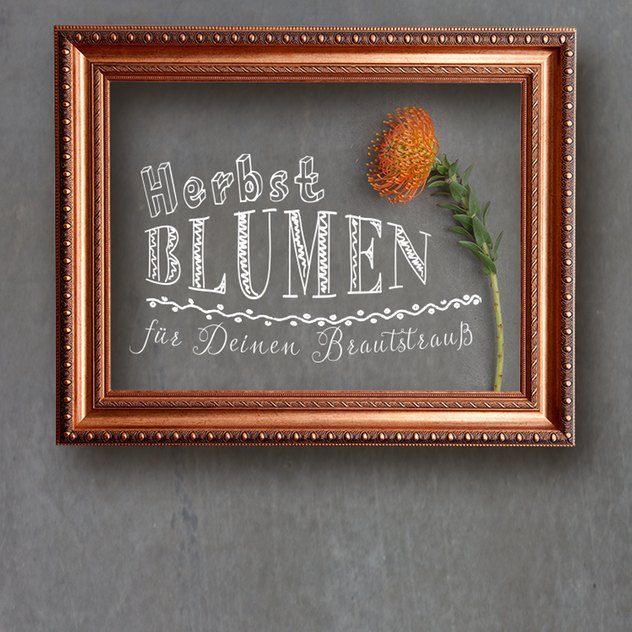 Lasst Euch in die Welt der Herbstblumen entführen und findet heraus, welche sich für Euren Brautstrauß eignen Lasst Euch in die Welt der Herbstblumen entführen und findet heraus, welche sich für Euren Brautstrauß eignen