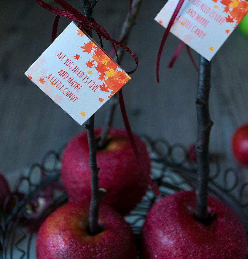Ein schicker Geschenkanhänger wertet die Candy Bar gleich auf Liebesäpfel mit Geschenkanhänger für die Candy Bar
