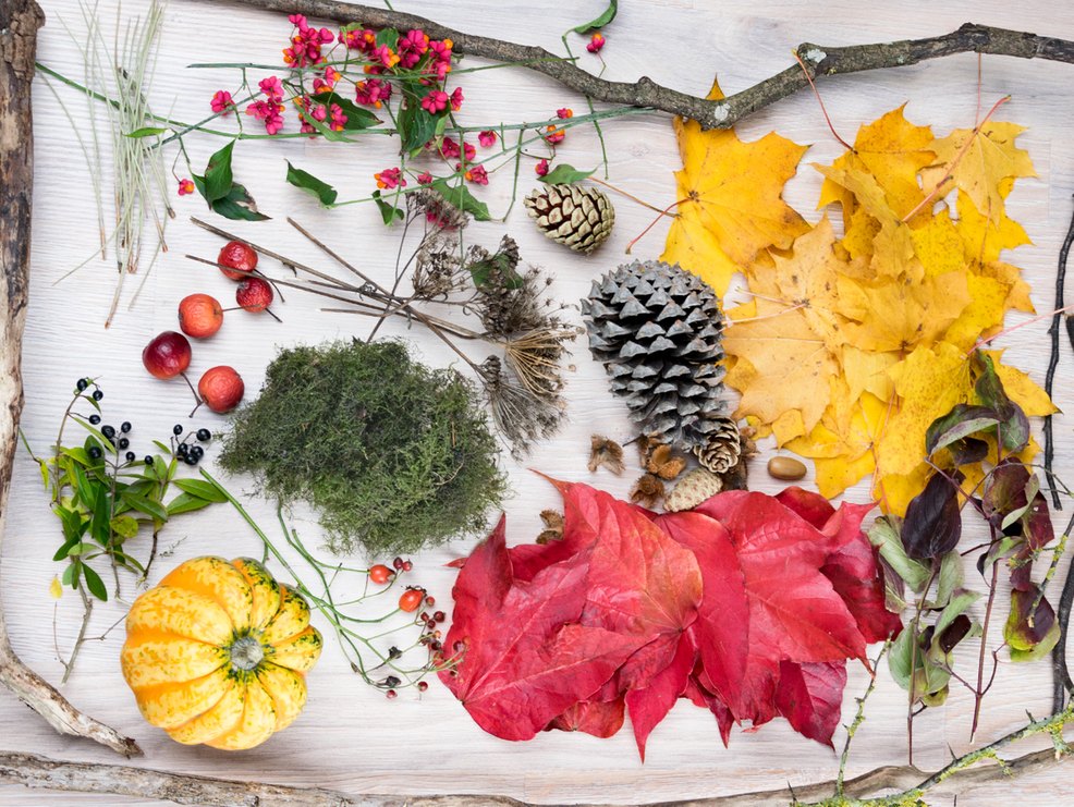 3 tolle Ideen für die Herbstdeko zu Hause – myprintcard 3 tolle Ideen für die Herbstdeko zu Hause – myprintcard