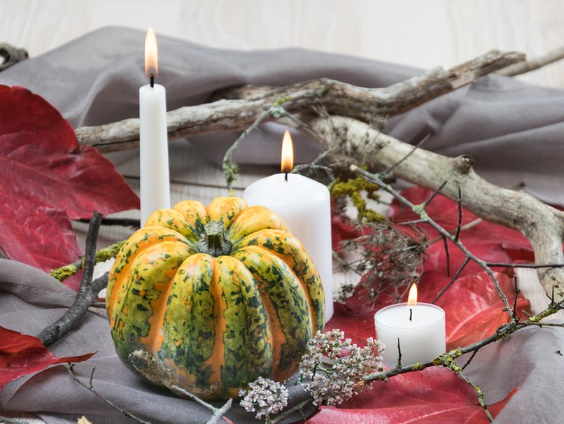 Flechten und Morsches Geäst - ein echter Hingucker