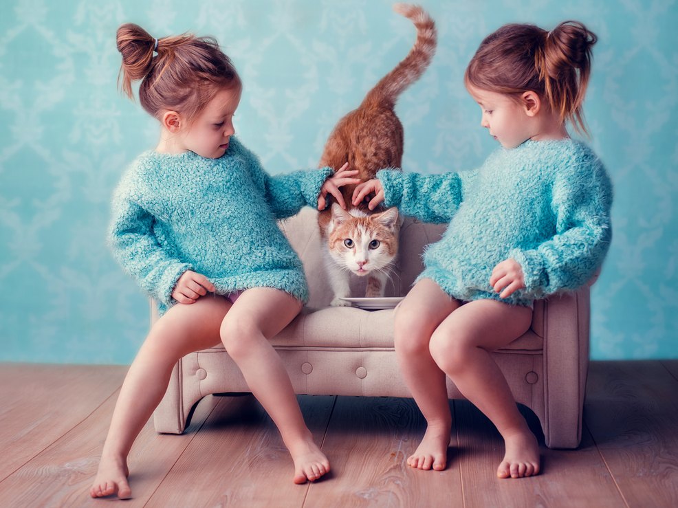 Zwillinge mit Katze - Kinderfotografie