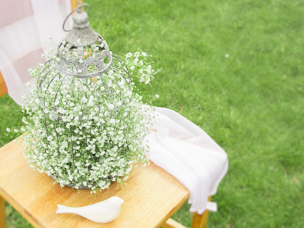 Greenery ist die Farbe des Jahres 2017 Greenery ist die Farbe des Jahres 2017