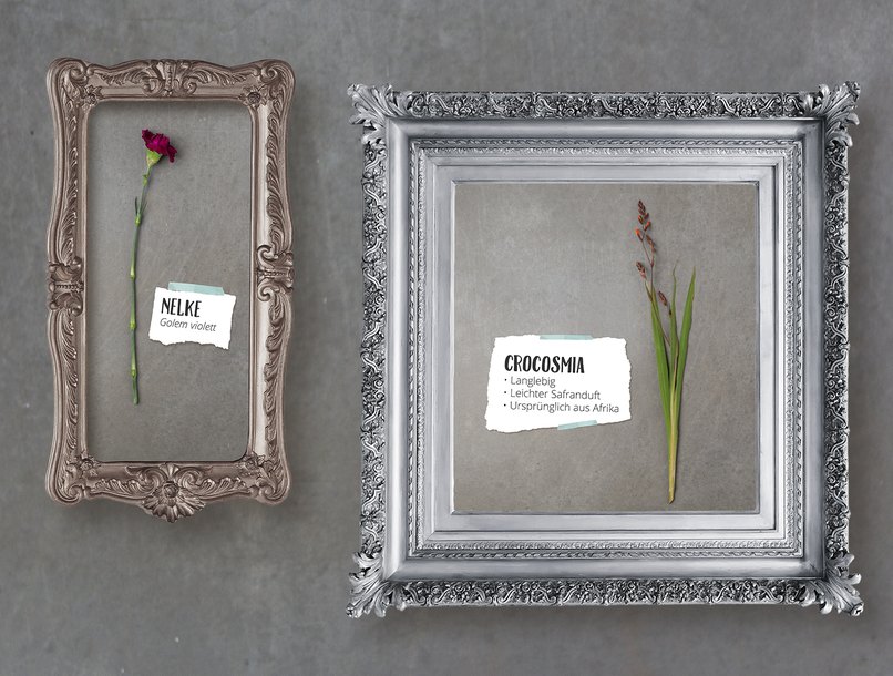 auch Blüten kann man im Winter verwenden